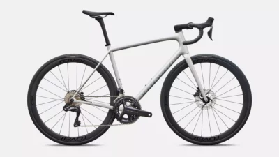 velo de la marque specialized de couleur dlmmet/shdwsil/bluprl